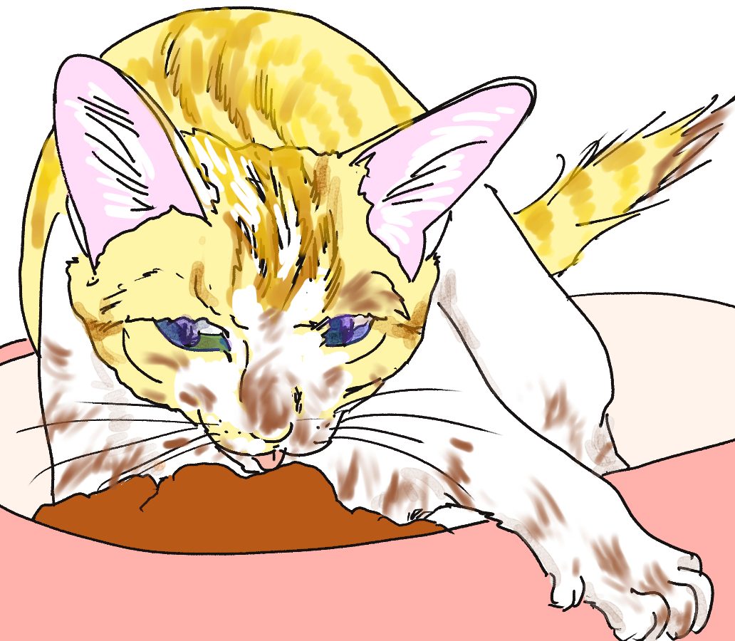イラスト、白と茶キジの子猫がエサの容器に入って離乳食を吸うようにして食べてる