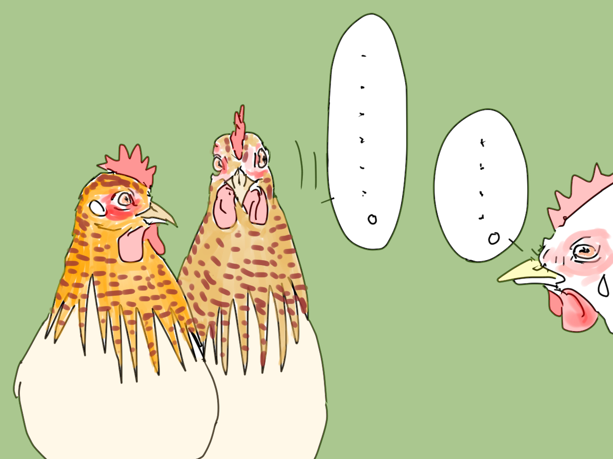 イラスト、チャボ2羽とコッコの沈黙