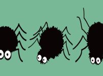 イラスト、緑のバックに3匹のかわいいクモ