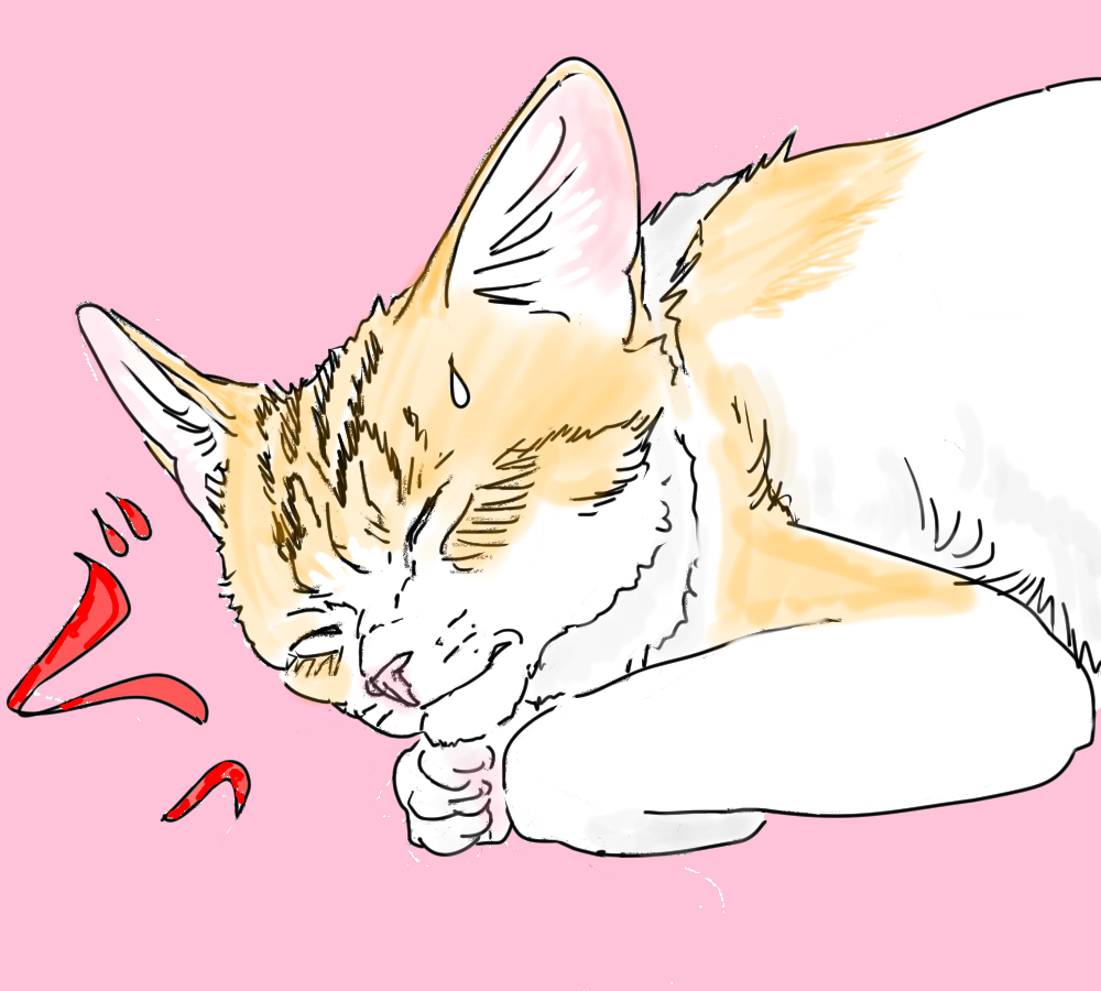 イラスト、目を固くつむり寝たふりするネコ