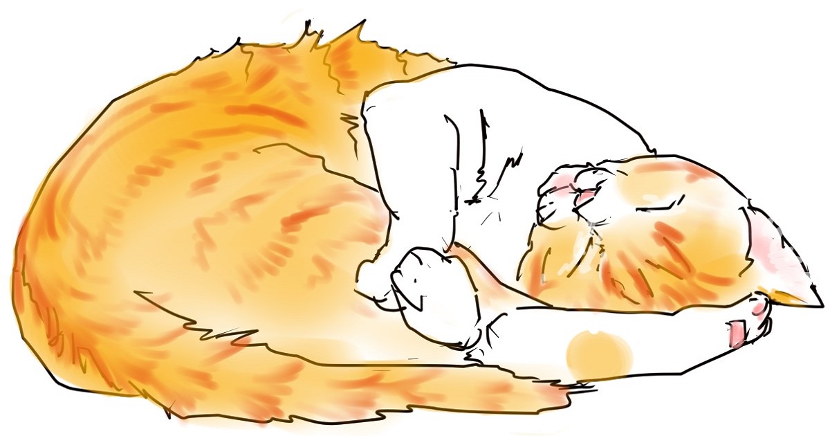 イラスト、丸くなって寝る白茶猫