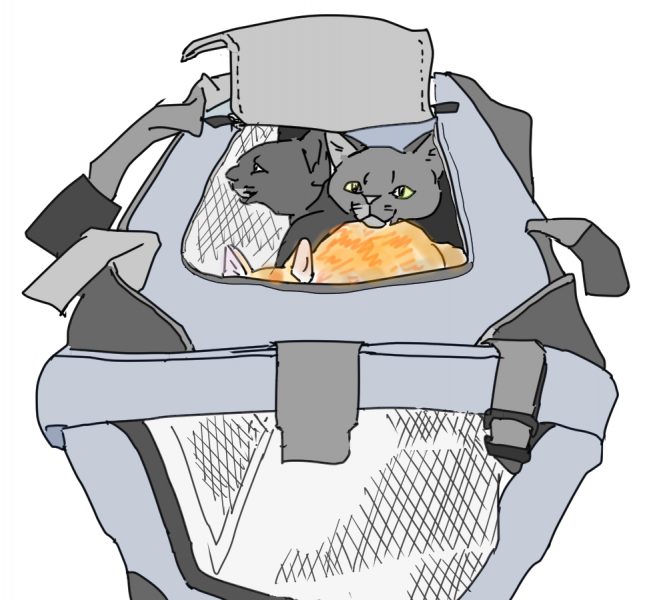 イラスト、キャリーバッグにネコ3匹