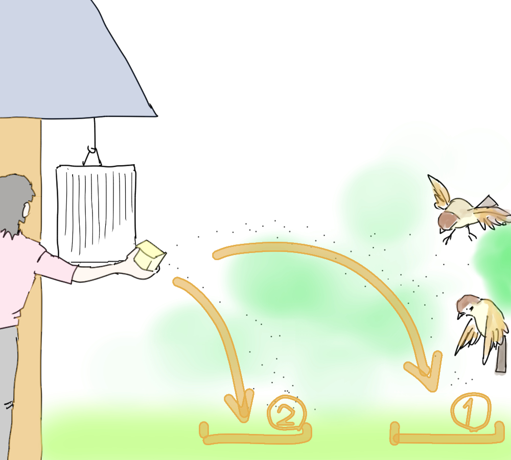 イラスト、鳥のエサを芝生の上に投げ捨てる