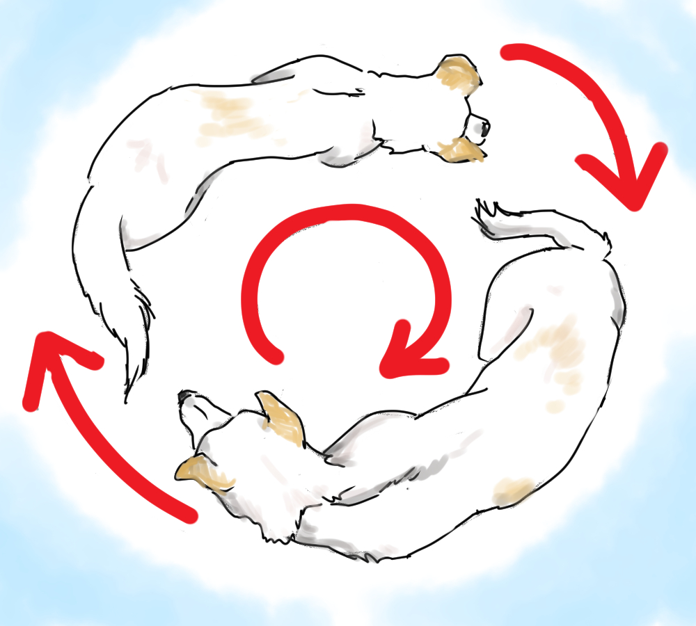 イラスト、高齢犬の旋回