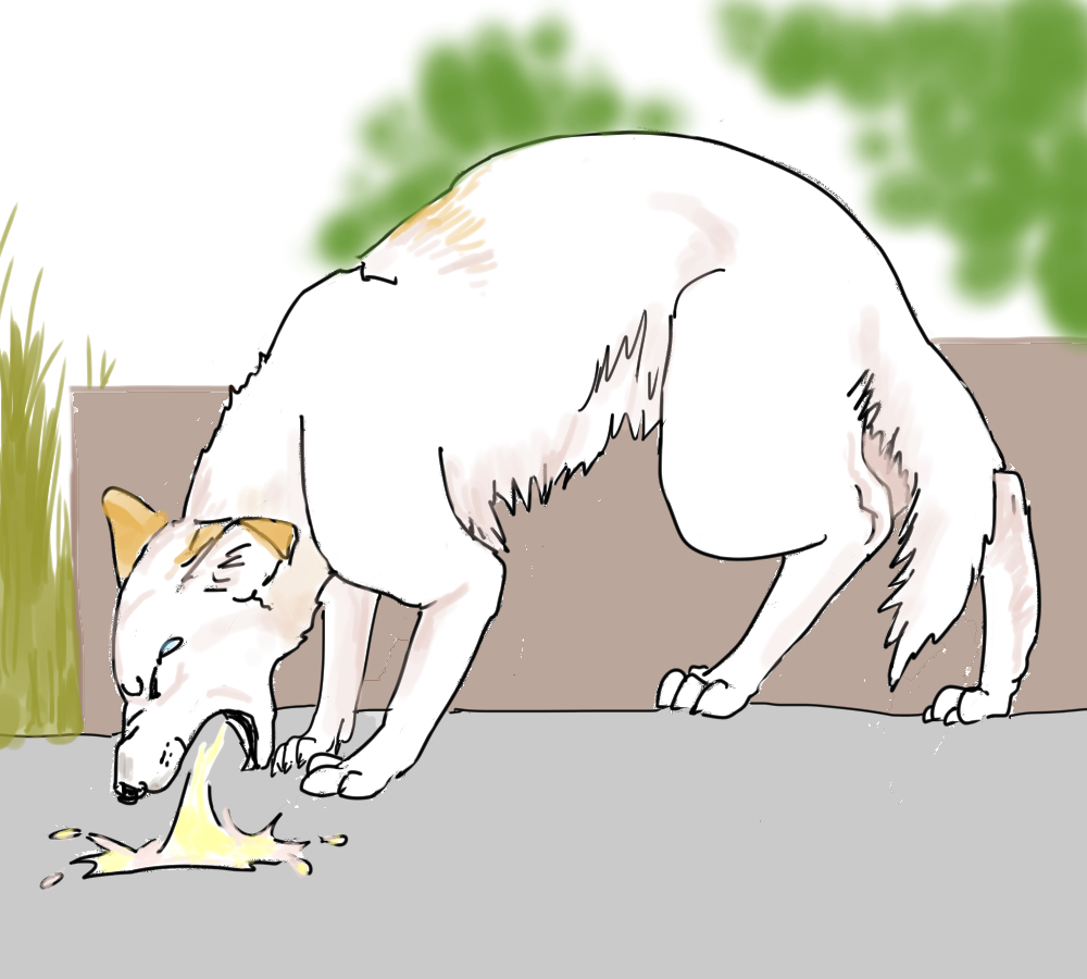 イラスト、高齢犬が嘔吐