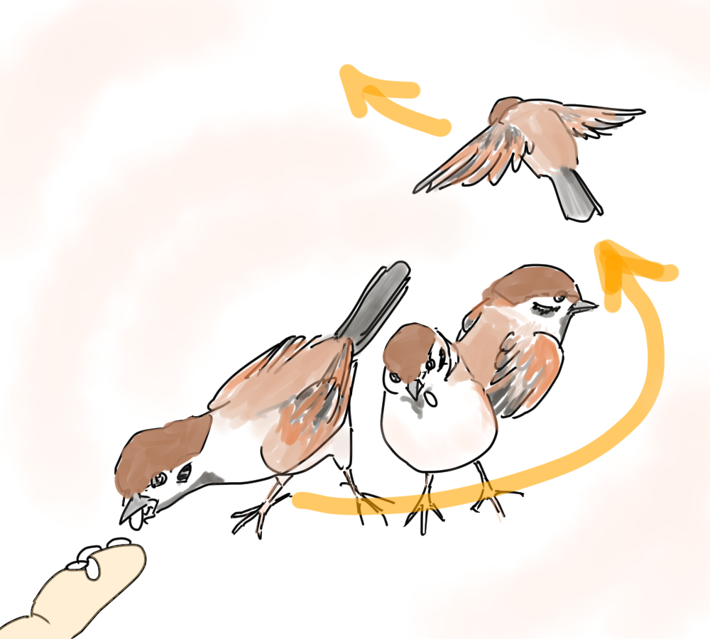 イラスト、手に付いたご飯粒を大急ぎで取って持っていくスズメ