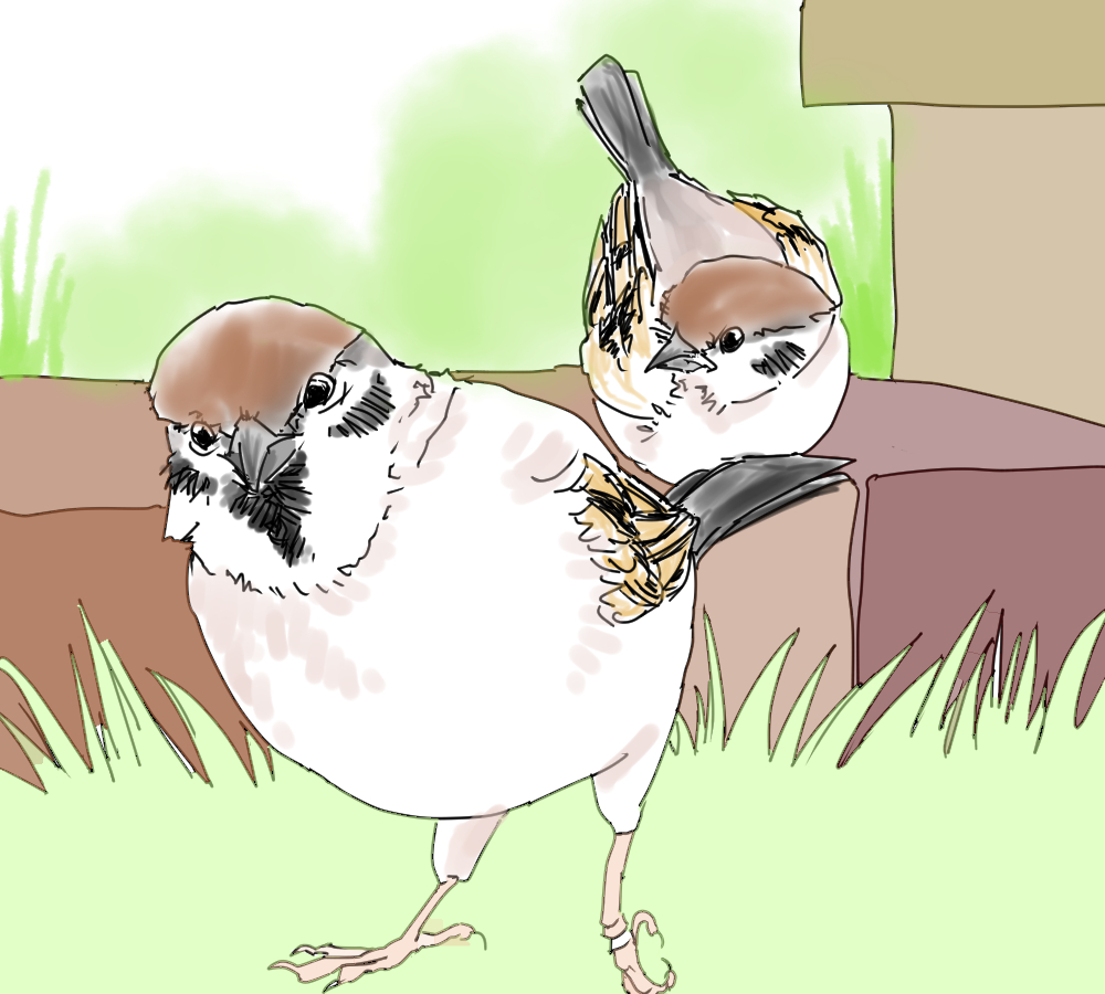 イラスト、スズ子さんが子スズメを連れてきた