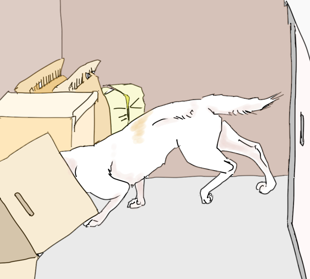 イラスト、高齢犬の協調運動の欠如②前足後足をちゃんと動かせない