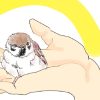 イラスト、掌のスズメ