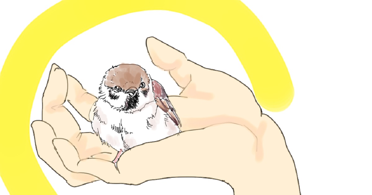 イラスト、掌のスズメ