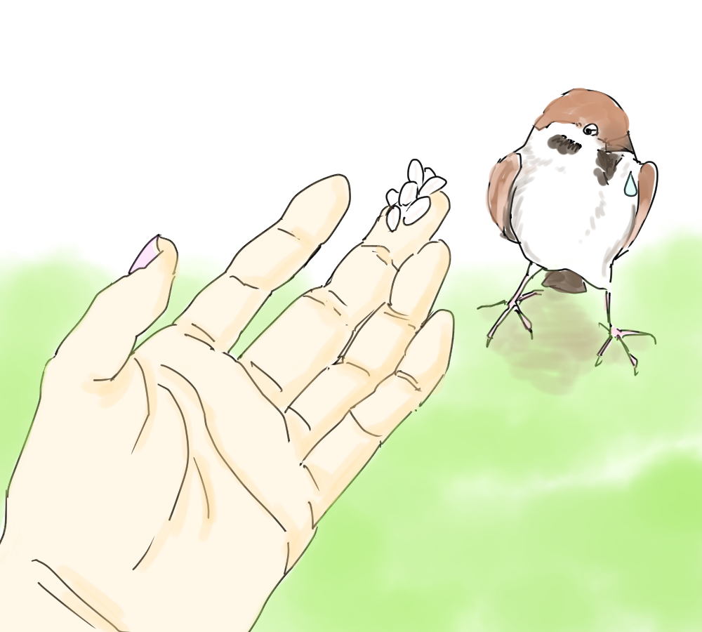 イラスト、指の上にご飯粒をのせてスズメにあげてみようとする。