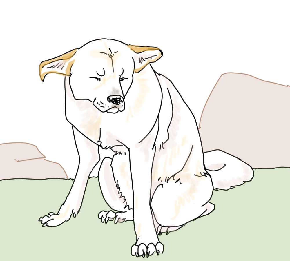 イラスト、老犬が座ってる
