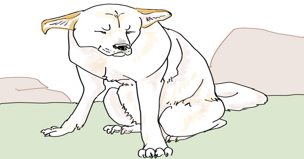 イラスト、白い老犬が目をしょぼしょぼさせて座ってる