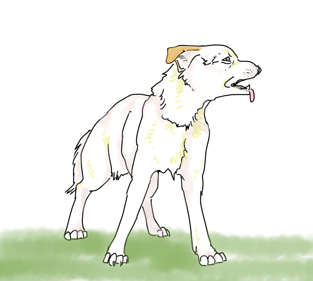 イラスト、高齢犬、前足を大きく広げて立つ