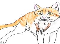 イラスト、スズメをくわえた猫