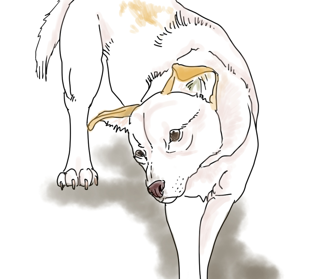 イラスト、高齢犬の頭が傾く