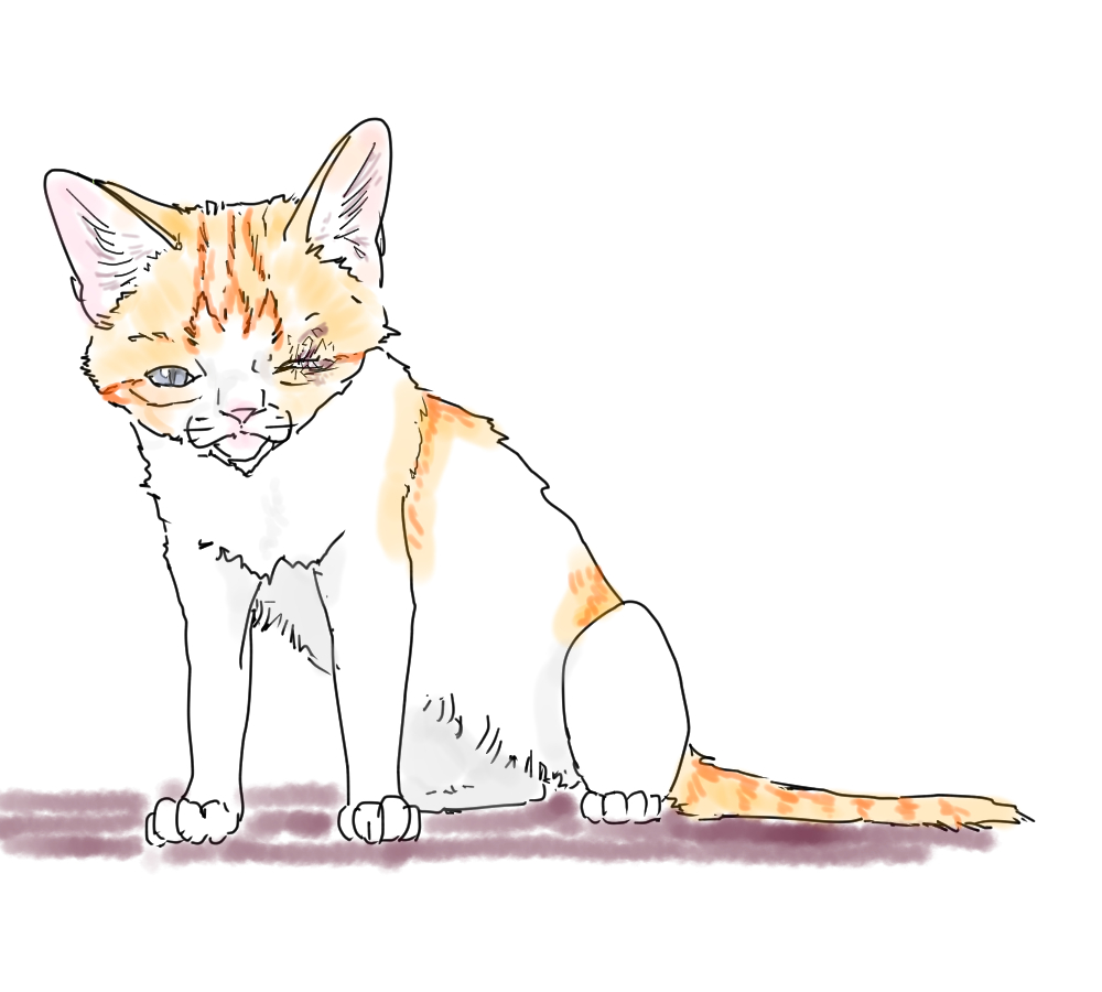 イラスト、捨て猫