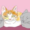 イラスト、2匹の黒猫の間に白茶ネコが仲良くうずくまる
