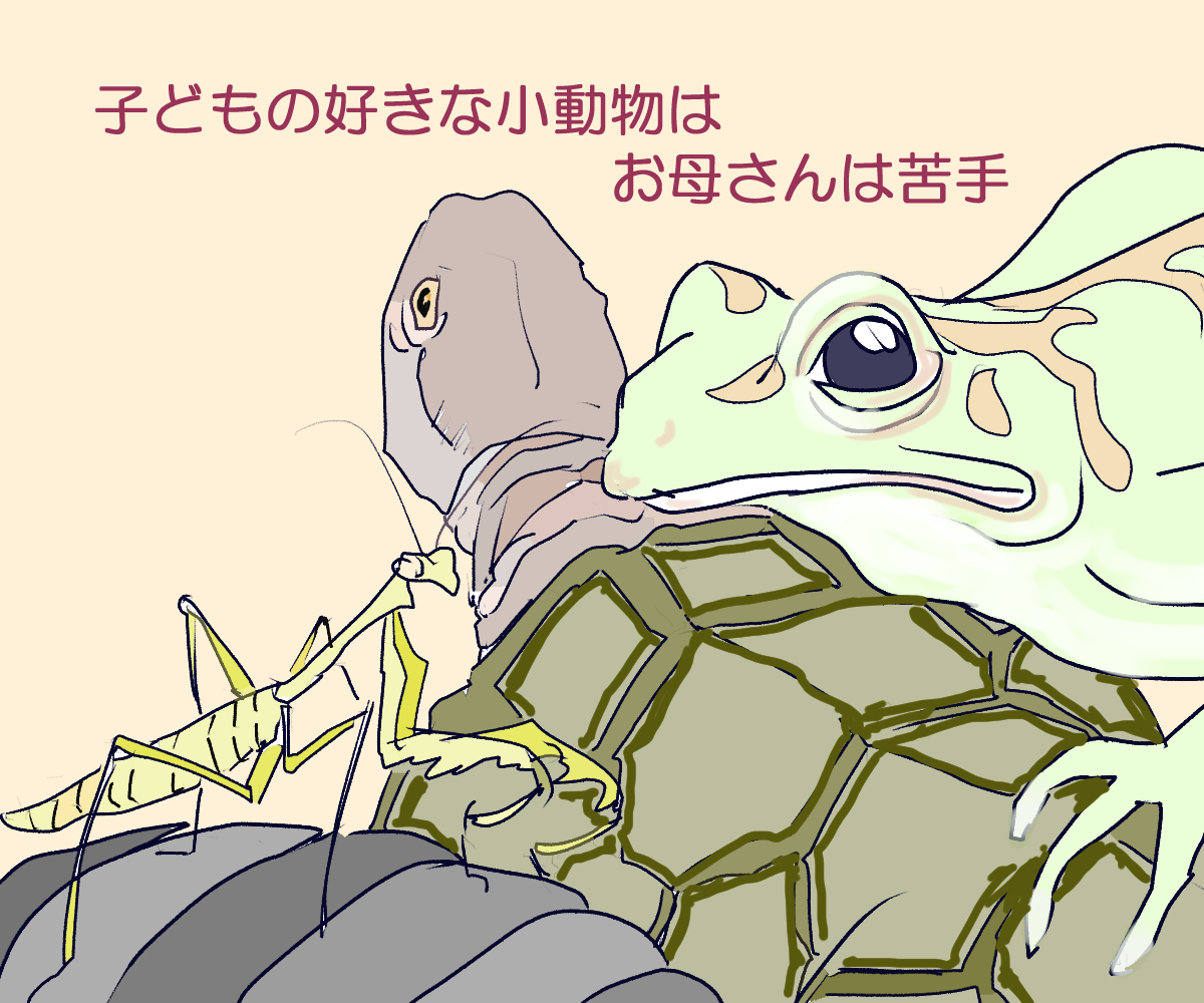 イラスト、カメ、カエル、カマキリ、ダンゴムシ
