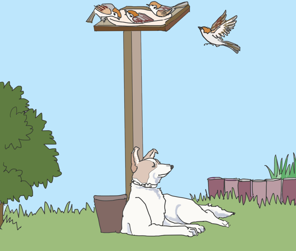 イラスト、スズメ達はエサ台の下に犬がいても平気