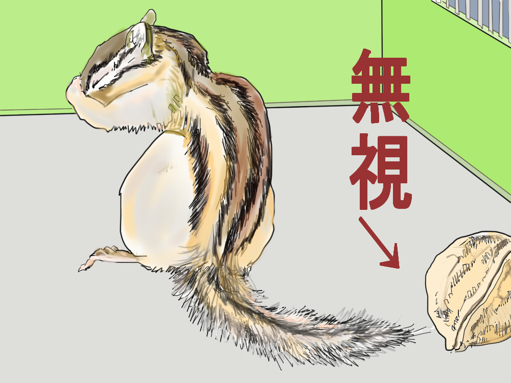 イラスト、シマリスはクルミを食べられなくて諦めたので放置してる